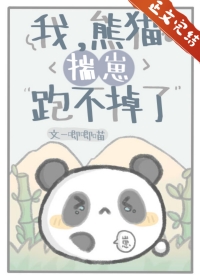 《我熊猫不服》晋江