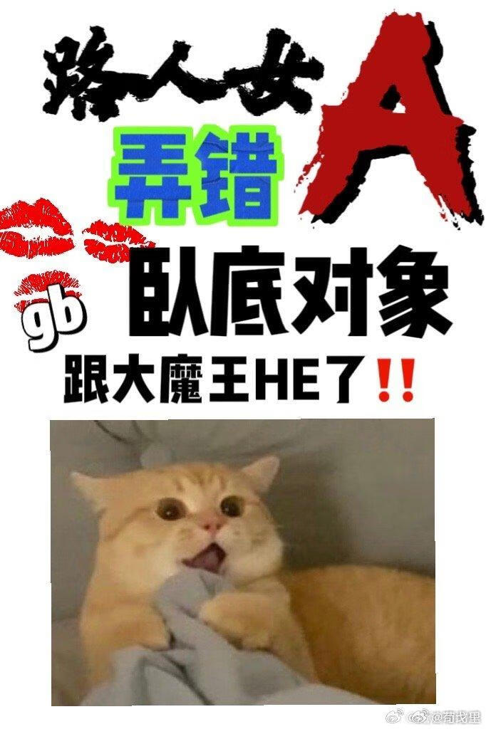 路人女a弄错卧底对象